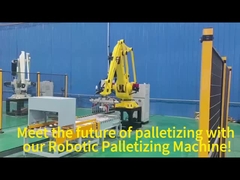 Customizable Robot Palletizer 4 Axis Palletizing Robot Arm Pick and Place Robots